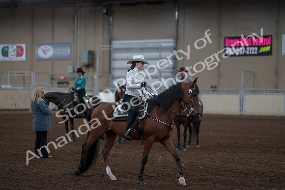 2019 Morgan Horse Show - Sept 01, 2019 - 07257