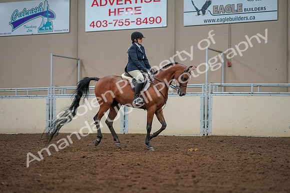 2019 Morgan Horse Show - Aug 30, 2019 - 22488