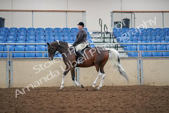 2019 Morgan Horse Show - Aug 30, 2019 - 22335