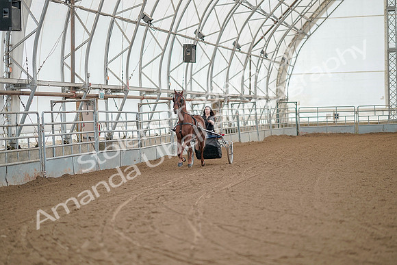 July 20, 2019 - 04911