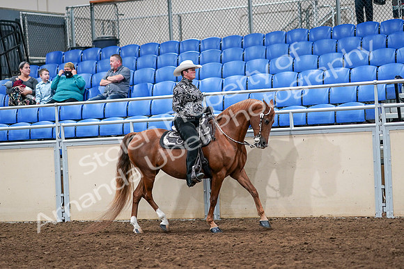 2020 - AB Morgan Horse - Sun, Sept 06 - 07544