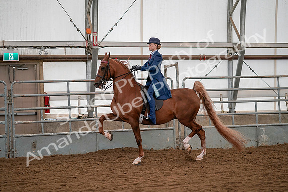 July 19, 2019 - 10372