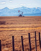 Nov 29 2016 - 3904