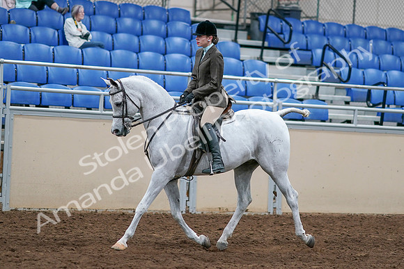 2020 - AB Morgan Horse - Sat, Sept 05 - 14244