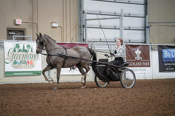 Spring Fling - Saturday - April 20, 2019  -  00212