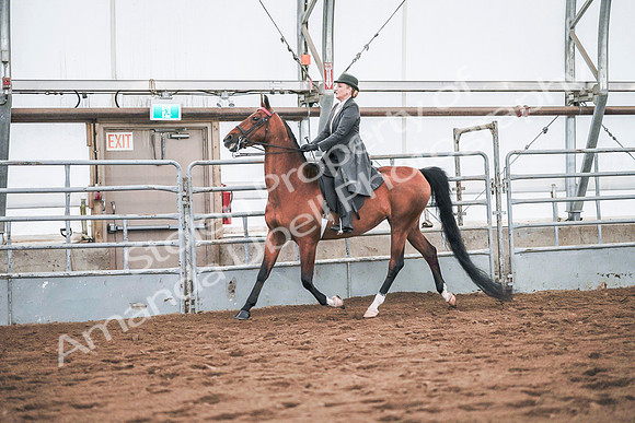 July 20, 2019 - 20828
