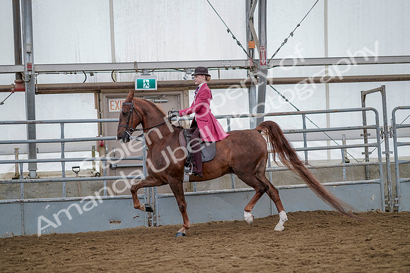 July 20, 2019 - 14508