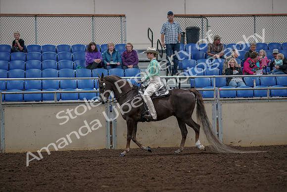 2019 Morgan Horse Show - Aug 30, 2019 - 25949