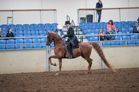 2019 Morgan Horse Show - Aug 31, 2019 - 12186