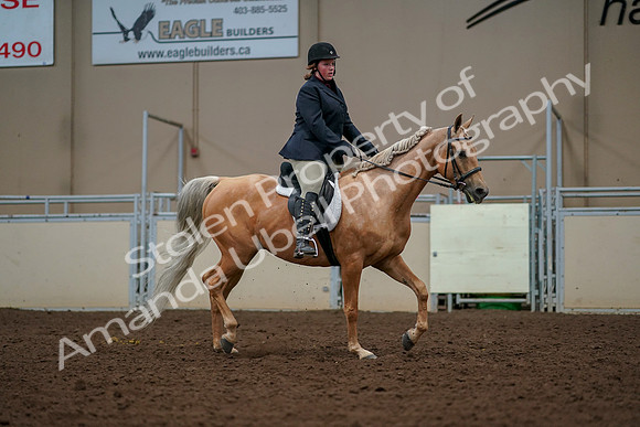 2019 Morgan Horse Show - Aug 30, 2019 - 22620