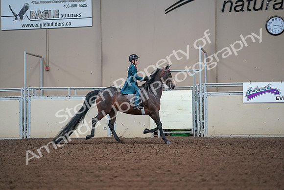 2019 Morgan Horse Show - Aug 30, 2019 - 18015