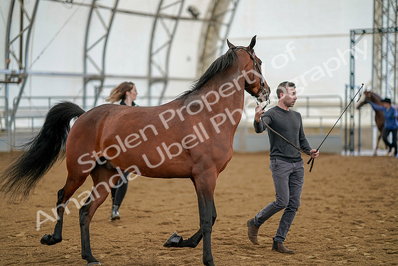 July 19, 2019 - 963