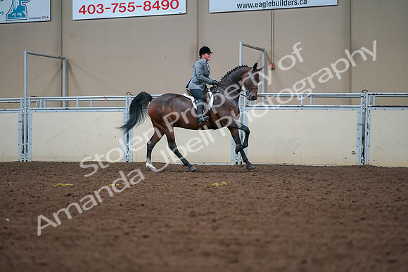2019 Morgan Horse Show - Aug 30, 2019 - 21009