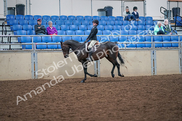 2019 Morgan Horse Show - Aug 30, 2019 - 20559