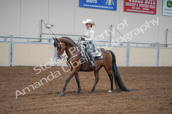 2020 - AB Morgan Horse - Sat, Sept 05 - 09030