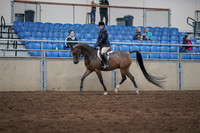 2019 Morgan Horse Show - Sept 01, 2019 - 08510