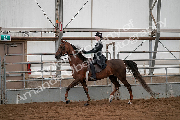 July 19, 2019 - 3006