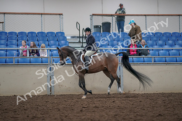 2019 Morgan Horse Show - Aug 31, 2019 - 15990