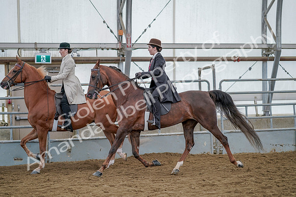 July 20, 2019 - 14586