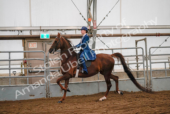 July 19, 2019 - 8962