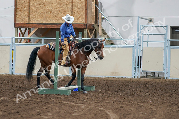2020 - AB Morgan Horse - Fri, Sept 04 - 00258