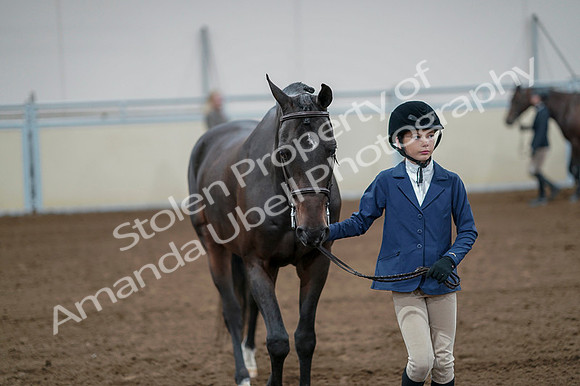 2020 - AB Morgan Horse - Fri, Sept 04 - 00771