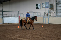 2020 - AB Morgan Horse - Fri, Sept 04 - 00214