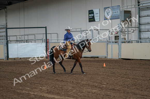 2020 - AB Morgan Horse - Fri, Sept 04 - 00214