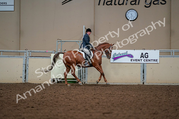 2019 Morgan Horse Show - Aug 30, 2019 - 22563