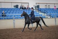 2019 Morgan Horse Show - Aug 31, 2019 - 18000