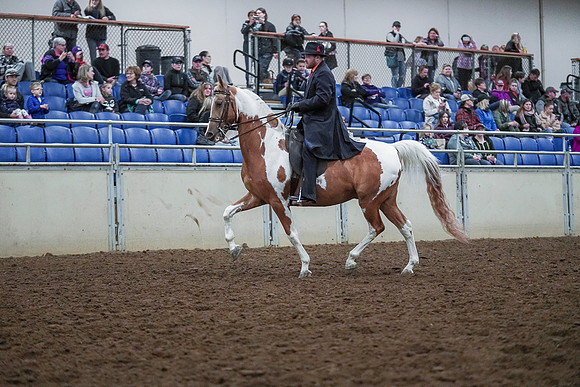 Spring Fling - Saturday - April 20, 2019  -  00690