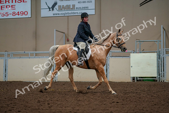 2019 Morgan Horse Show - Aug 30, 2019 - 22618