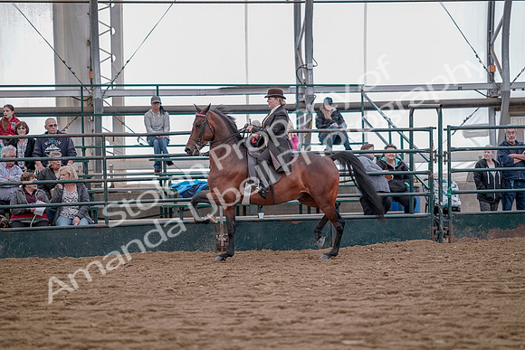 July 20, 2019 - 13877