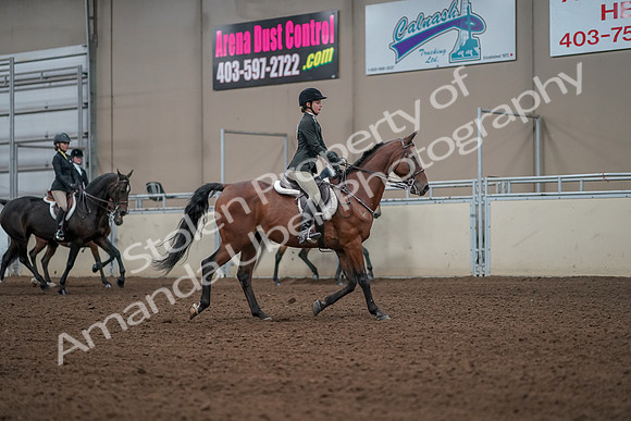 2019 Morgan Horse Show - Aug 31, 2019 - 05191