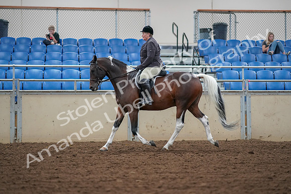 2019 Morgan Horse Show - Aug 30, 2019 - 16224