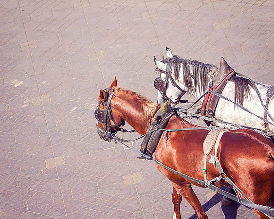 Morocco - 064