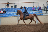 2019 Morgan Horse Show - Aug 30, 2019 - 26777