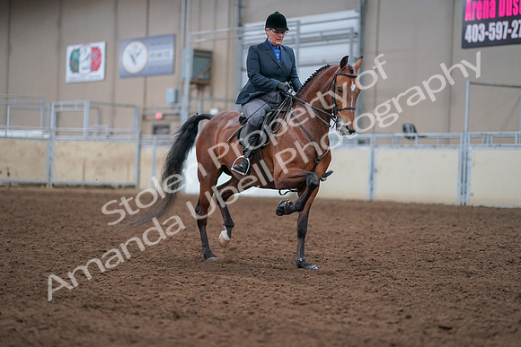 2019 Morgan Horse Show - Aug 30, 2019 - 20888