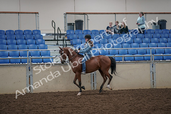 2019 Morgan Horse Show - Aug 30, 2019 - 31313