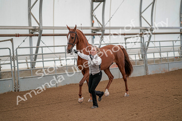 July 19, 2019 - 80