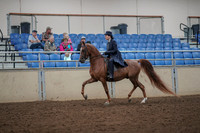 Class 049A - All Breed Country Pl Amateur