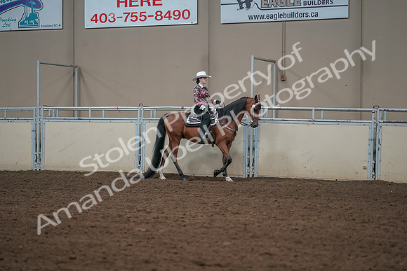 2019 Morgan Horse Show - Aug 30, 2019 - 26141
