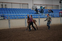 2019 Morgan Horse Show - Aug 31, 2019 - 00373