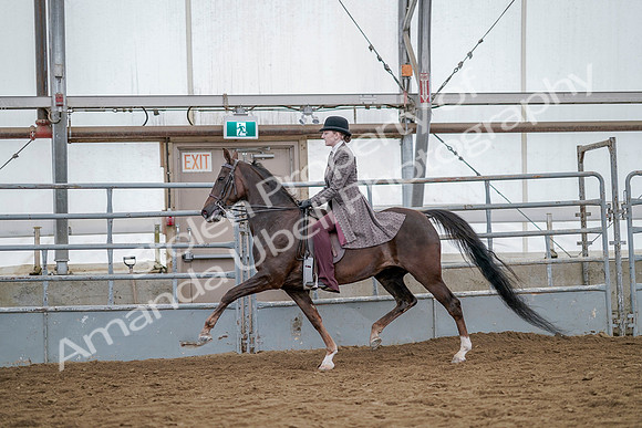 July 20, 2019 - 14639