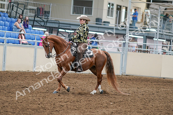 2020 - AB Morgan Horse - Sat, Sept 05 - 08885