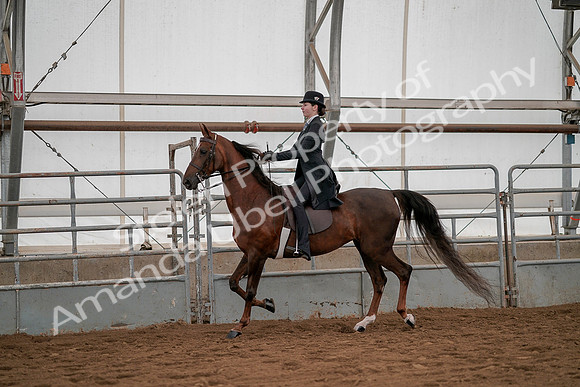 July 19, 2019 - 2997