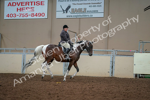 2019 Morgan Horse Show - Aug 30, 2019 - 22513