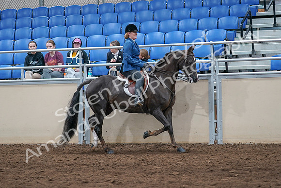 2020 - AB Morgan Horse - Sat, Sept 05 - 05213