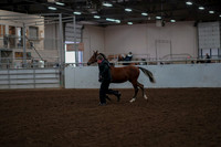 2019 Morgan Horse Show - Aug 30, 2019 - 25532