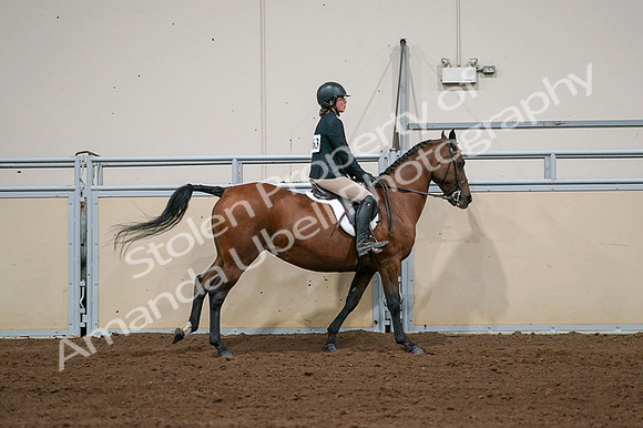 2020 - AB Morgan Horse - Fri, Sept 04 - 02104